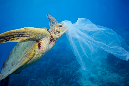 L’era della plastica